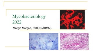 Mycobacteriology
2022
Margie Morgan, PhD, D(ABMM)
 