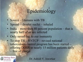 Epidemiology
• Source – Humans with TB
• Spread – droplet nuclei – inhaled
• India – more than 40 percent population – that is
nearly half of us are infected
• Only saved due to our immunity
• To stop TB – RNTCP – revised national
tuberculosis control program has been started –
offering DOTS to nearly 15 million patients daily
– free of charge
Dr. Ashish V. Jawarkar

 