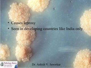 • Causes leprosy
• Seen in developing countries like India only

Dr. Ashish V. Jawarkar

 
