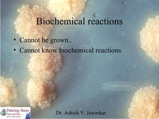 Biochemical reactions
• Cannot be grown..
• Cannot know biochemical reactions

Dr. Ashish V. Jawarkar

 
