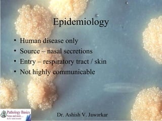 Epidemiology
•
•
•
•

Human disease only
Source – nasal secretions
Entry – respiratory tract / skin
Not highly communicable

Dr. Ashish V. Jawarkar

 