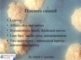 Diseases caused
•
•
•
•
•

Leprosy
Affects skin and nerves
Hypoaesthetic patch, thickened nerves
Lion face, saddle nose, autoamputation
Two main types – tuberculoid leprosy,
lepromatous leprosy
Dr. Ashish V. Jawarkar

 