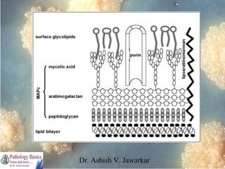 Dr. Ashish V. Jawarkar

 