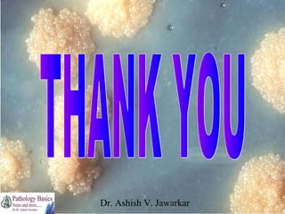 Dr. Ashish V. Jawarkar

 