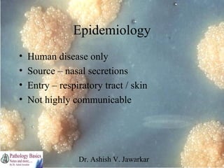Epidemiology
•
•
•
•

Human disease only
Source – nasal secretions
Entry – respiratory tract / skin
Not highly communicabl...