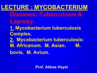 LECTURE : MYCOBACTERIUM
Diseases: Tuberculosis &
Leprosy.
1. Mycobacterium tuberculosis
Complex.
2. Mycobacterium tuberculosis:
M. Africanum. M. Asian. M.
bovis. M. Avium.
Prof. Abbas Hayat
 