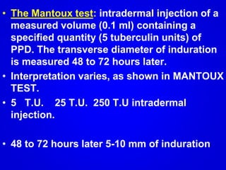 Mycobacteria | PPTX