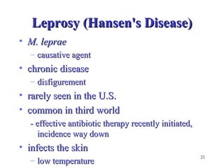 21 
LLeepprroossyy ((HHaannsseenn''ss DDiisseeaassee)) 
• MM.. lleepprraaee 
– ccaauussaattiivvee aaggeenntt 
• cchhrroonniicc ddiisseeaassee 
– ddiissffiigguurreemmeenntt 
• rraarreellyy sseeeenn iinn tthhee UU..SS.. 
• ccoommmmoonn iinn tthhiirrdd wwoorrlldd 
-- eeffffeeccttiivvee aannttiibbiioottiicc tthheerraappyy rreecceennttllyy iinniittiiaatteedd,, 
iinncciiddeennccee wwaayy ddoowwnn 
• iinnffeeccttss tthhee sskkiinn 
– llooww tteemmppeerraattuurree 
 