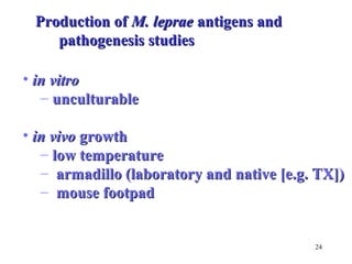 • iinn vviittrroo 
– uunnccuullttuurraabbllee 
• iinn vviivvoo ggrroowwtthh 
– llooww tteemmppeerraattuurree 
– aarrmmaaddiilllloo ((llaabboorraattoorryy aanndd nnaattiivvee [[ee..gg.. TTXX]])) 
– mmoouussee ffoooottppaadd 
24 
PPrroodduuccttiioonn ooff MM.. lleepprraaee aannttiiggeennss aanndd 
ppaatthhooggeenneessiiss ssttuuddiieess 
 
