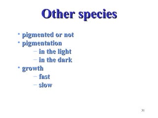 31 
OOtthheerr ssppeecciieess 
• ppiiggmmeenntteedd oorr nnoott 
• ppiiggmmeennttaattiioonn 
– iinn tthhee lliigghhtt 
– iinn tthhee ddaarrkk 
• ggrroowwtthh 
– ffaasstt 
– ssllooww 
 