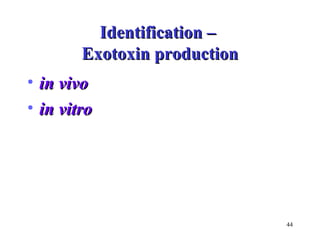 44 
IIddeennttiiffiiccaattiioonn –– 
EExxoottooxxiinn pprroodduuccttiioonn 
• iinn vviivvoo 
• iinn vviittrroo 
 