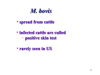 6 
MM.. bboovviiss 
• sspprreeaadd ffrroomm ccaattttllee 
• iinnffeecctteedd ccaattttllee aarree ccuulllleedd 
– ppoossiittiivvee sskkiinn tteesstt 
• rraarreellyy sseeeenn iinn UUSS 
 