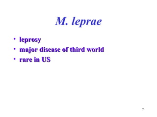 7 
M. leprae 
• lleepprroossyy 
• mmaajjoorr ddiisseeaassee ooff tthhiirrdd wwoorrlldd 
• rraarree iinn UUSS 
 