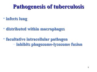 9 
PPaatthhooggeenneessiiss ooff ttuubbeerrccuulloossiiss 
• iinnffeeccttss lluunngg 
• ddiissttrriibbuutteedd wwiitthhiinn mmaaccrroopphhaaggeess 
• ffaaccuullttaattiivvee iinnttrraacceelllluullaarr ppaatthhooggeenn 
– iinnhhiibbiittss pphhaaggoossoommee--llyyssoossoommee ffuussiioonn 
 