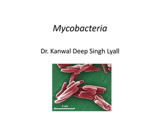 Mycobacteria
Dr. Kanwal Deep Singh Lyall
 