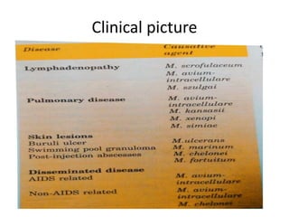 Clinical picture
 
