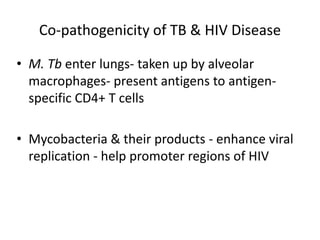 Co-pathogenicity of TB & HIV Disease
• M. Tb enter lungs- taken up by alveolar
macrophages- present antigens to antigen-
specific CD4+ T cells
• Mycobacteria & their products - enhance viral
replication - help promoter regions of HIV
 