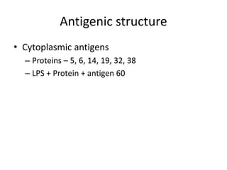 Antigenic structure
• Cytoplasmic antigens
– Proteins – 5, 6, 14, 19, 32, 38
– LPS + Protein + antigen 60
 