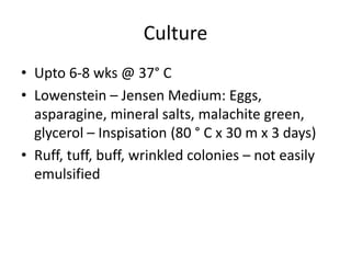 Culture
• Upto 6-8 wks @ 37° C
• Lowenstein – Jensen Medium: Eggs,
asparagine, mineral salts, malachite green,
glycerol – Inspisation (80 ° C x 30 m x 3 days)
• Ruff, tuff, buff, wrinkled colonies – not easily
emulsified
 
