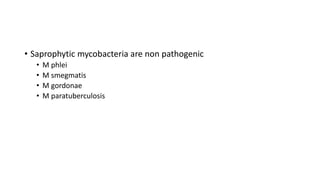 • Saprophytic mycobacteria are non pathogenic
• M phlei
• M smegmatis
• M gordonae
• M paratuberculosis
 