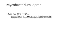 Mycobacterium leprae
• Acid fast (5 % H2SO4)
• Less acid fast than M tuberculosis (20 % H2S04)
 