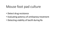 Mouse foot pad culture
• Detect drug resistance
• Evaluating potency of antileprosy treatment
• Detecting viability of bacilli during Rx
 