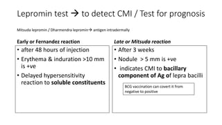 Lepromin test  to detect CMI / Test for prognosis
Early or Fernandez reaction
• after 48 hours of injection
• Erythema & induration >10 mm
is +ve
• Delayed hypersensitivity
reaction to soluble constituents
Late or Mitsuda reaction
• After 3 weeks
• Nodule > 5 mm is +ve
• indicates CMI to bacillary
component of Ag of lepra bacilli
Mitsuda lepromin / Dharmendra lepromin antigen intradermally
BCG vaccination can covert it from
negative to positive
 