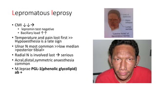 Lepromatous leprosy
• CMI ↓↓
• lepromin test negative
• Bacillary load ↑↑
• Temperature and pain lost first >>
Hypoaesthesia is a late sign
• Ulnar N most common >>low median
>posterior tibial>
• Radial N is involved last  serious
• Acral,distal,symmetric anaesthesia
common
• M.leprae PGL-1(phenolic glycolipid)
ab +
 