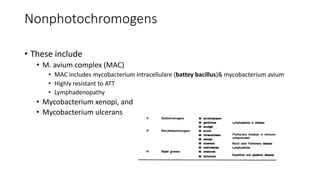 Nonphotochromogens
• These include
• M. avium complex (MAC)
• MAC includes mycobacterium intracellulare (battey bacillus)& mycobacterium avium
• Highly resistant to ATT
• Lymphadenopathy
• Mycobacterium xenopi, and
• Mycobacterium ulcerans
 