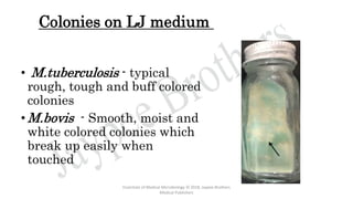 Mycobacterium TB- Dr.Ashna Ajimsha | PPTX