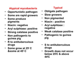 Atypical mycobacteria
• Opportunistic pathogen
• Some are rapid growers
• Some produce
pigments
• Niacin: negative
• Aryl sulphtase: positive
• Strong catalase positive
• Non pathogenic to
guinea pig
• R to antituberculous
drugs
• Some grow at 250
C
&some at 450
C
Typical
• Obligate pathogen
• Slow growers
• Non pigmented
• Niacin : positive
• Aryl sulphtase :
negative
• Weak catalase positive
• Pathogenic to guinea
pig
• S to antituberculous
drugs
• Growth does not occur
below 250
C & above
440
C
 