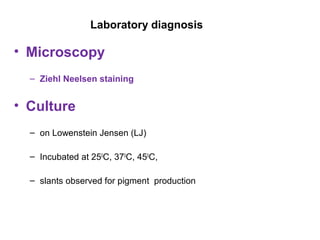 Laboratory diagnosis
• Microscopy
– Ziehl Neelsen staining
• Culture
– on Lowenstein Jensen (LJ)
– Incubated at 250
C, 370
C, 450
C,
– slants observed for pigment production
 