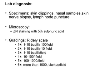 Lab diagnosis:
• Specimens: skin clippings, nasal samples,skin
nerve biopsy, lymph node puncture
• Microscopy:
– ZN staining with 5% sulphuric acid
• Gradings: Ridely scale
• 1+: 1-10 bacilli/ 100field
• 2+: 1-10 bacilli/ 10 field
• 3+: 1-10 bacilli/field
• 4+: 10-100/ field
• 5+: 100-1000/field
• 6+: more than 1000, clumps/field
 