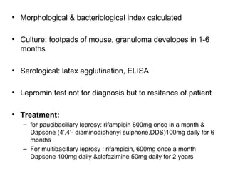 • Morphological & bacteriological index calculated
• Culture: footpads of mouse, granuloma developes in 1-6
months
• Serological: latex agglutination, ELISA
• Lepromin test not for diagnosis but to resitance of patient
• Treatment:
– for paucibacillary leprosy: rifampicin 600mg once in a month &
Dapsone (4’,4’- diaminodiphenyl sulphone,DDS)100mg daily for 6
months
– For multibacillary leprosy : rifampicin, 600mg once a month
Dapsone 100mg daily &clofazimine 50mg daily for 2 years
 