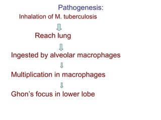 Pathogenesis:
Inhalation of M. tuberculosis
Reach lung
Ingested by alveolar macrophages
Multiplication in macrophages
Ghon’s focus in lower lobe
 