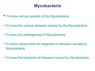 Mycobacteria
• To know various species of the Mycobacteria
• To know the various diseases caused by the Mycobacteria
• To know the pathogenesis of Mycobacteria
• To know various tests for diagnosis of diseases caused by
Mycobacteria
• To know the treatment of diseases caused by Mycobacteria
 