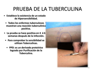 PRUEBA DE LA TUBERCULINA
• Establece la existencia de un estado
de Hipersensibilidad.
• Todos los enfermos tuberculosos
muestran una reacción tuberculínica
positiva.
• La prueba se hace positiva en 4 ó 6
semanas después de la infección.
• Para comprobar la sensibilidad se
utilizan Tuberculinas.
• PPD: es un derivado proteínico
logrado por Purificación de la
Tuberculina.
13
 