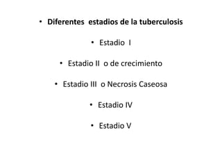 • Diferentes estadios de la tuberculosis
• Estadio I
• Estadio II o de crecimiento
• Estadio III o Necrosis Caseosa
• Estadio IV
• Estadio V
 