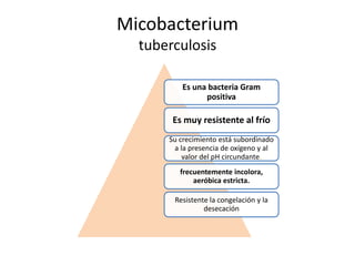 Micobacterium
tuberculosis
Es una bacteria Gram
positiva
Es muy resistente al frío
Su crecimiento está subordinado
a la presencia de oxígeno y al
valor del pH circundante.
frecuentemente incolora,
aeróbica estricta.
Resistente la congelación y la
desecación
 