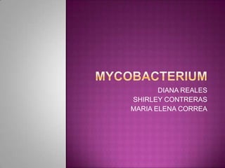 Mycobacterium DIANA REALES SHIRLEY CONTRERAS MARIA ELENA CORREA 
