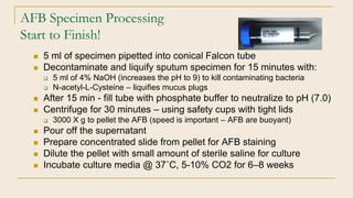 AFB Specimen Processing
Start to Finish!
 5 ml of specimen pipetted into conical Falcon tube
 Decontaminate and liquify ...