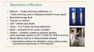 Specimen collection
 Sputum – 3 early morning collections, or
1 early morning, plus 2 collected at least 8 hours apart
 Bronchial lavage fluid
 Tissues or Lesions
 CSF / sterile body fluids
 Urine – 3 to 5 early morning collections
 Stool – primarily for M. avium complex
 Gastric – Children unable to produce sputum,
must neutralize gastric to pH 7.0 after for AFB to survive
 Blood /Bone marrow in disseminated disease
 Automated systems for detection using culture bottles
manufactured specifically for AFB detection
 
