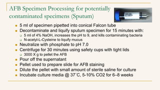 AFB Specimen Processing for potentially
contaminated specimens (Sputum)
 5 ml of specimen pipetted into conical Falcon tube
 Decontaminate and liquify sputum specimen for 15 minutes with:
 5 ml of 4% NaOH, increases the pH to 9, and kills contaminating bacteria
 N-acetyl-L-Cysteine to liquify mucus
 Neutralize with phosphate to pH 7.0
 Centrifuge for 30 minutes using safety cups with tight lids
 3000 X g to pellet the AFB
 Pour off the supernatant
 Pellet used to prepare slide for AFB staining
 Dilute the pellet with small amount of sterile saline for culture
 Incubate culture media @ 37˚C, 5-10% CO2 for 6–8 weeks
 