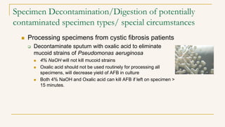 Specimen Decontamination/Digestion of potentially
contaminated specimen types/ special circumstances
 Processing specimens from cystic fibrosis patients
 Decontaminate sputum with oxalic acid to eliminate
mucoid strains of Pseudomonas aeruginosa
 4% NaOH will not kill mucoid strains
 Oxalic acid should not be used routinely for processing all
specimens, will decrease yield of AFB in culture
 Both 4% NaOH and Oxalic acid can kill AFB if left on specimen >
15 minutes.
 