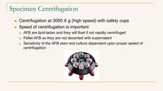 Specimen Centrifugation
 Centrifugation at 3000 X g (high speed) with safety cups
 Speed of centrifugation is important
 AFB are lipid-laden and they will float if not rapidly centrifuged
 Pellet AFB so they are not decanted with supernatant
 Sensitivity of the AFB stain and culture dependent upon proper speed of
centrifugation
 