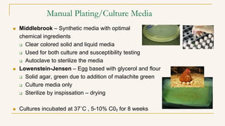Manual Plating/Culture Media
 Middlebrook – Synthetic media with optimal
chemical ingredients
 Clear colored solid and liquid media
 Used for both culture and susceptibility testing
 Autoclave to sterilize the media
 Lowenstein-Jensen – Egg based with glycerol and flour
 Solid agar, green due to addition of malachite green
 Culture media only
 Sterilize by inspissation – drying
 Cultures incubated at 37˚C , 5-10% C0₂ for 8 weeks
 