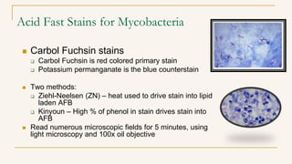 Acid Fast Stains for Mycobacteria
 Carbol Fuchsin stains
 Carbol Fuchsin is red colored primary stain
 Potassium permanganate is the blue counterstain
 Two methods:
 Ziehl-Neelsen (ZN) – heat used to drive stain into lipid
laden AFB
 Kinyoun – High % of phenol in stain drives stain into
AFB
 Read numerous microscopic fields for 5 minutes, using
light microscopy and 100x oil objective
 
