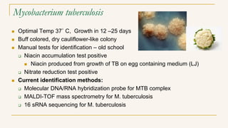Mycobacterium tuberculosis
 Optimal Temp 37˚ C, Growth in 12 –25 days
 Buff colored, dry cauliflower-like colony
 Manual tests for identification – old school
 Niacin accumulation test positive
 Niacin produced from growth of TB on egg containing medium (LJ)
 Nitrate reduction test positive
 Current identification methods:
 Molecular DNA/RNA hybridization probe for MTB complex
 MALDI-TOF mass spectrometry for M. tuberculosis
 16 sRNA sequencing for M. tuberculosis
 