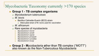 Mycobacteria Taxonomy currently >170 species
 Group 1 - TB complex organisms
 Mycobacterium tuberculosis
 M. bovis
 Bacillus Calmette-Guerin (BCG) strain
 Attenuated strain of M. bovis used for vaccination
 M. africanum
 Rare species of mycobacteria
 Mycobacterium microti
 Mycobacterium canetti
 Mycobacterium caprae
 Mycobacterium pinnipedii
 Mycobacterium suricattae
 Mycobacterium mungi
 Group 2 - Mycobacteria other than TB complex (“MOTT”)
also known as the Non-Tuberculous Mycobacteria
 