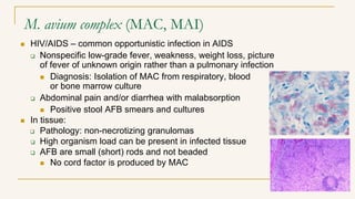 M. avium complex (MAC, MAI)
 HIV/AIDS – common opportunistic infection in AIDS
 Nonspecific low-grade fever, weakness, weight loss, picture
of fever of unknown origin rather than a pulmonary infection
 Diagnosis: Isolation of MAC from respiratory, blood
or bone marrow culture
 Abdominal pain and/or diarrhea with malabsorption
 Positive stool AFB smears and cultures
 In tissue:
 Pathology: non-necrotizing granulomas
 High organism load can be present in infected tissue
 AFB are small (short) rods and not beaded
 No cord factor is produced by MAC
 